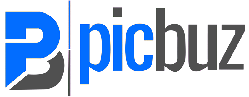 Picbuz-Logo